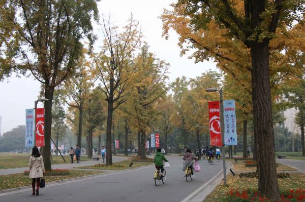 QQ图片20161120144419.jpg