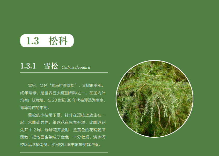 29fe0f8b84c20cd860e22ae0c99ceaa5.png