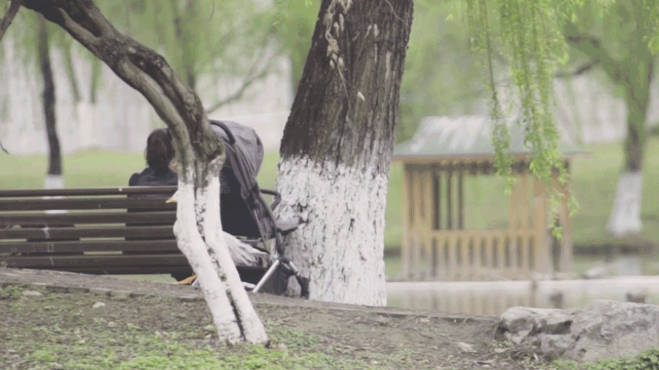 image008.gif
