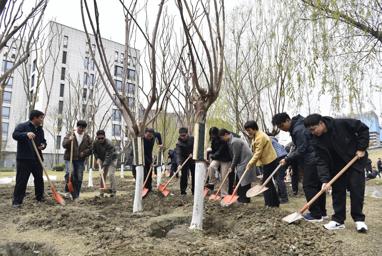 植树活动.jpg