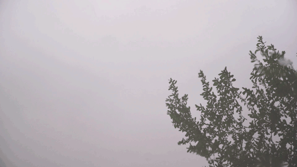 image004.gif