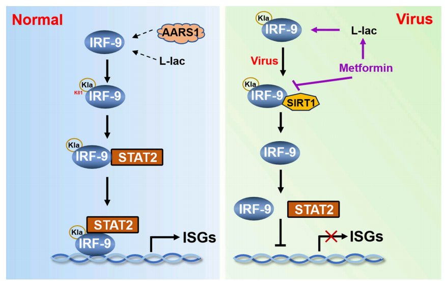 7957dd075c69e15f8423273dff8ac986_14ad6.p