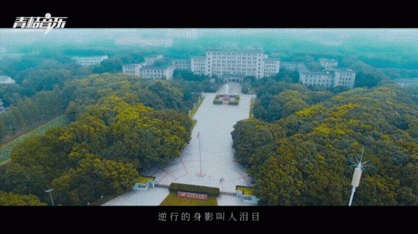7fc45cdf4de57972bba96ada55661271.gif