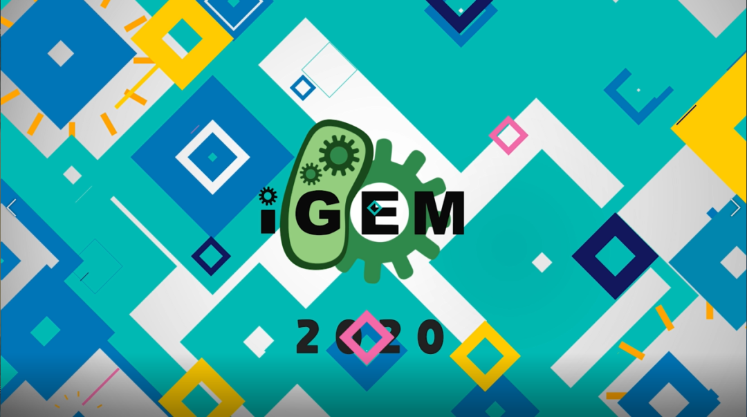 1120.png