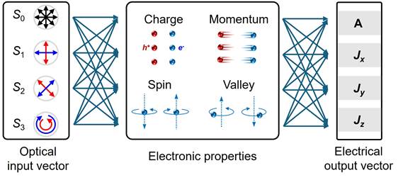 770206BD1C1AE84F068807FF155_81083F3D_689