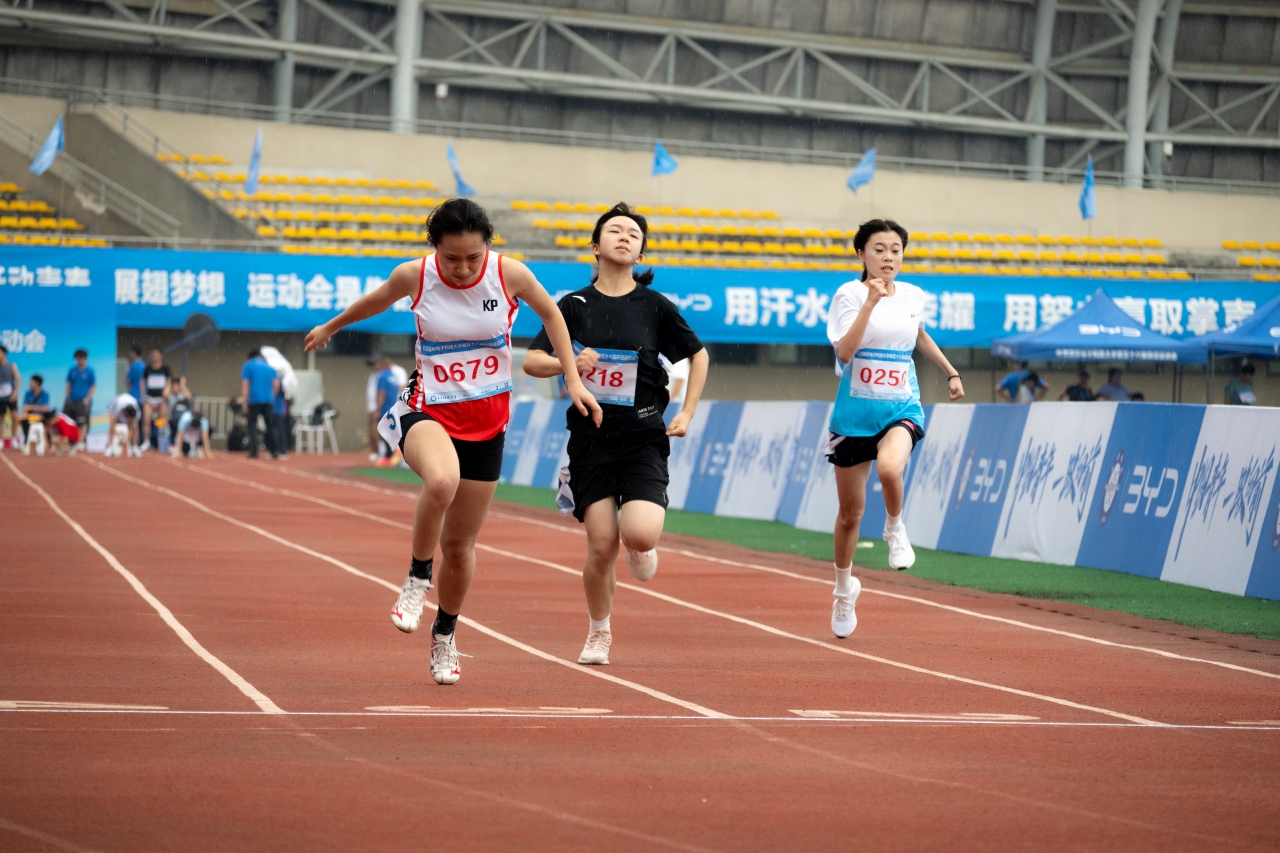 b695d784f9181a31b21646dac48cb96d.jpg