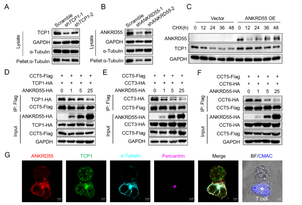 c7d2989d0261aa915bfd73b39a3a3504_662fb.p