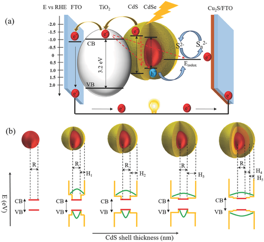 adfm201701468-fig-0001.png